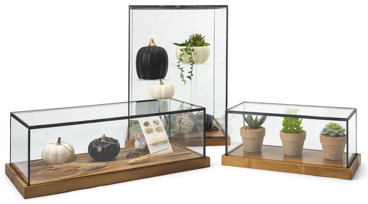 Elevate Your Display: The Art of the Countertop Display Case